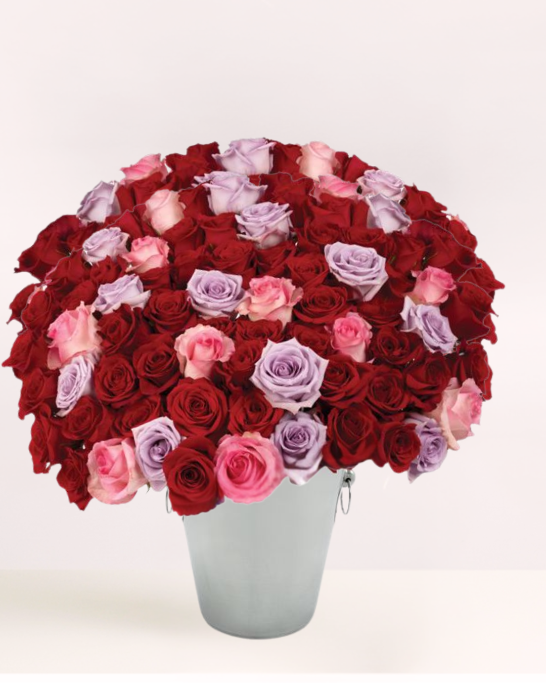 100 Valentine's Roses