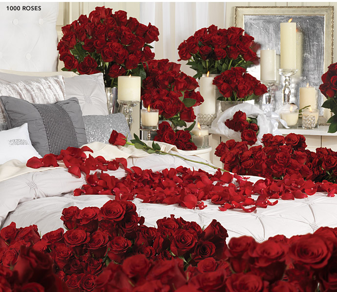 1,000 Roses
