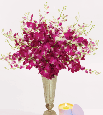 20 Raspberry Orchid Bouquet