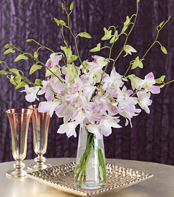 Floweradvisor Codes Promo 2017 10 Off Free Shipping On All Gift Of The Month Clubs