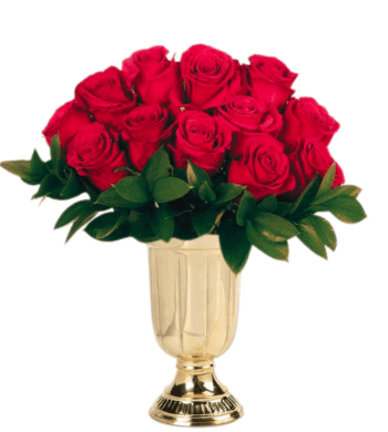 Red Roses & Well Wishes