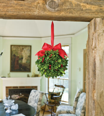 Boxwood & Berries Kissing Ball
