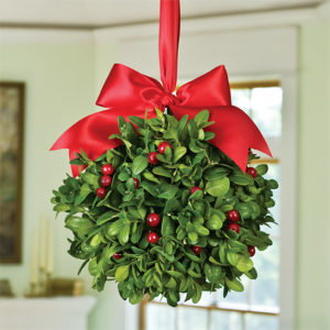Boxwood Kissing Ball - Calyx Flowers, Inc 4c0e00023_env2_lg
