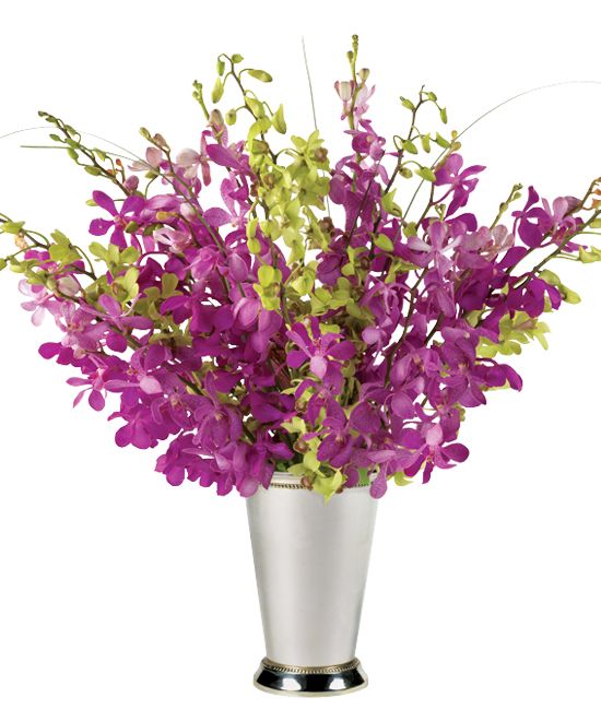 Calypso Orchids - Calyx Flowers, Inc