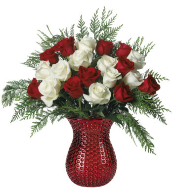 Red and White Luxury Holiday Roses