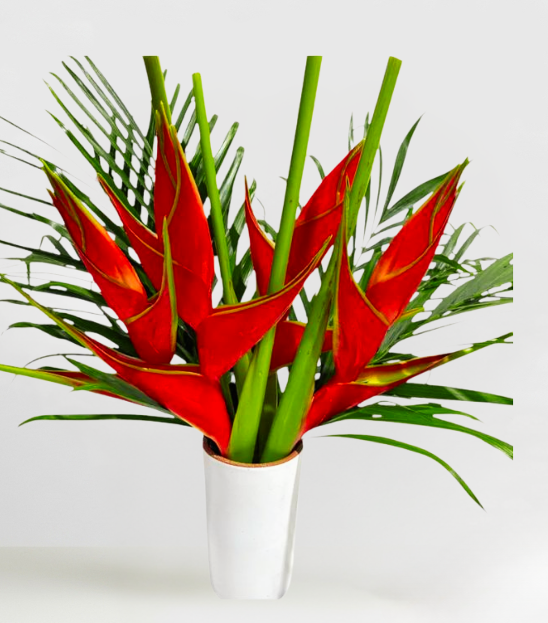Heliconia & Palms Red