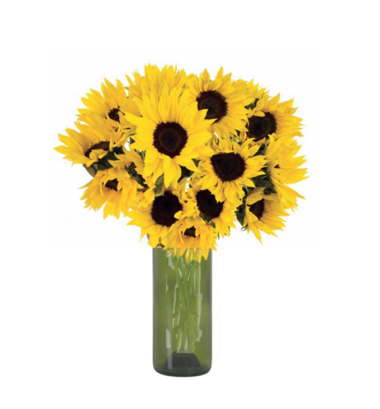 Sunbright Sunflowers