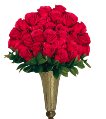 50 Red Fresh Cut Roses Bouquet