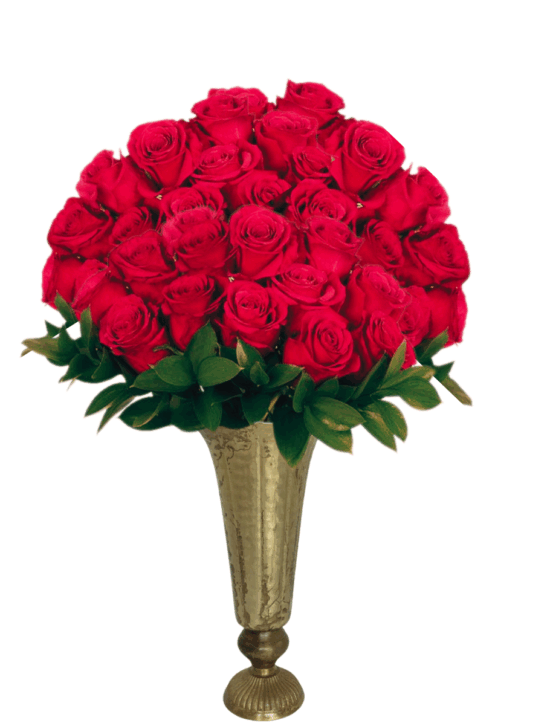 50 Red Fresh Cut Roses Bouquet