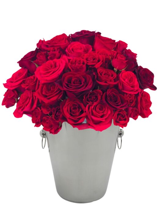 50 Red Fresh Cut Roses Bouquet