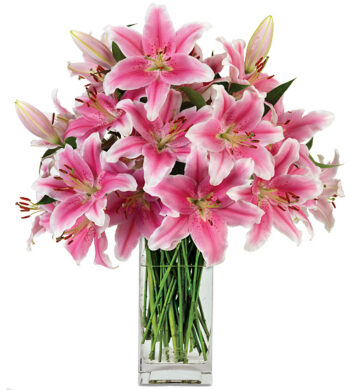 Fragrant Pink Sorbonne Lily Bouquet | Calyx Flowers