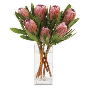 Pink Protea Bouquet with signature glass vase