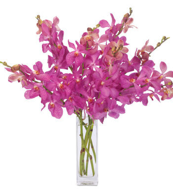 Exquisite Orchid Bouquet