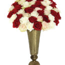 50 Holiday Roses