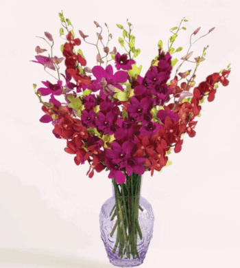 Charisma Orchid Bouquet