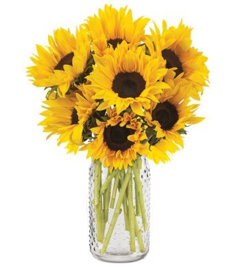 Sunbright Sunflowers