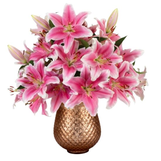 Pink Sorbonne Lilies "The Golden Hour"