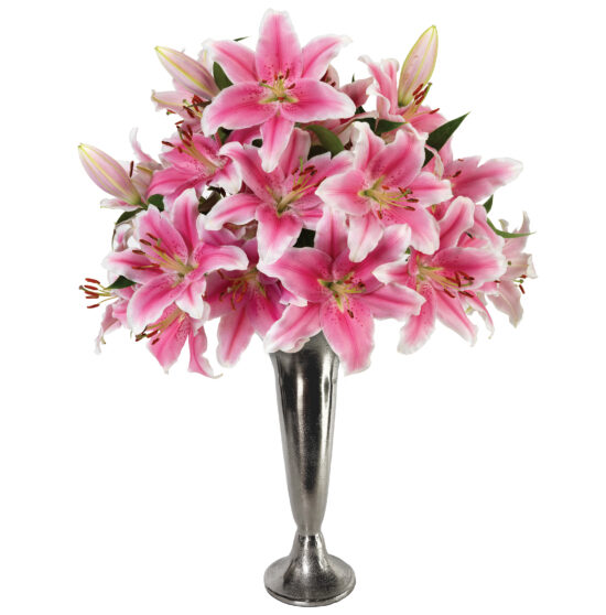 Pink Sorbonne Lilies