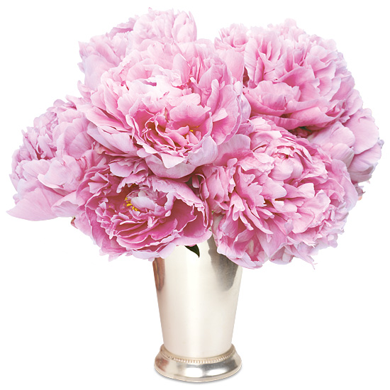 Powder Pink Peony Bouquet