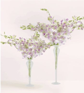 Mistine Dendrobium Duet