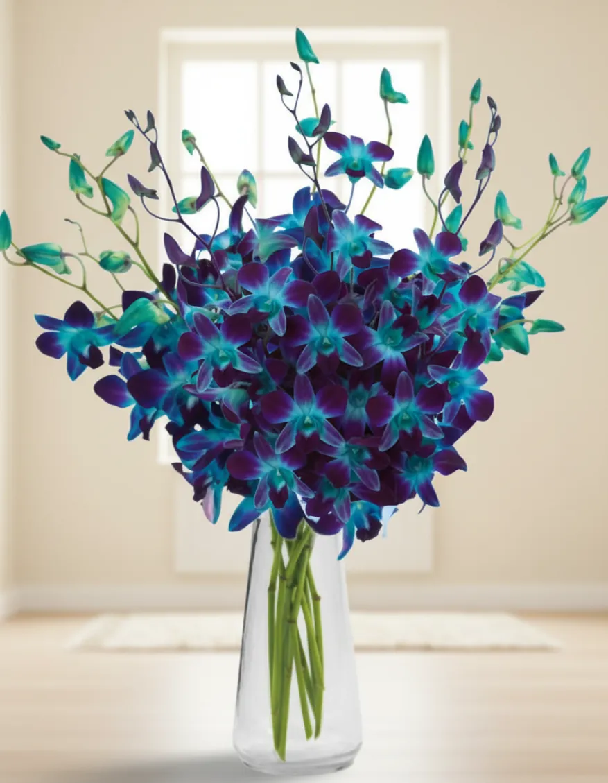Stunning Sapphire Orchids