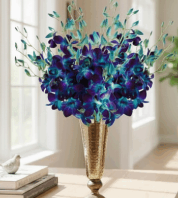 20 Stem Dendrobiums Blue Bom Orchids