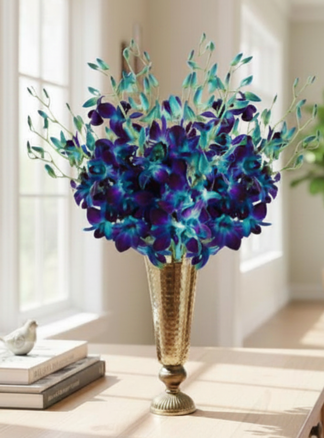 20 Stem Dendrobiums Blue Bom Orchids