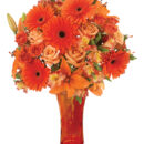 Orange Gerbera Fusion Bouquet
