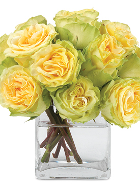 the calyx flowers The description of flowers various technical terms are used for describing the form and arrangement of flowers the calyx surrounds the corolla, . the calyx flowers The description of flowers various technical terms are used for describing the form and arrangement of flowers the calyx surrounds the corolla, .