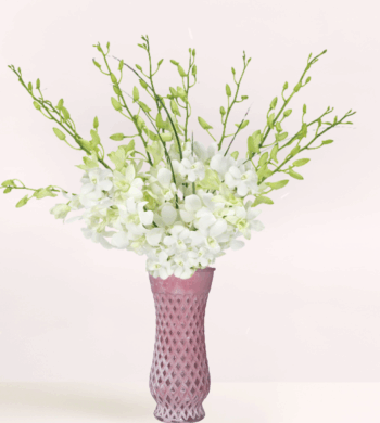 White Elegance Orchid Bouquet