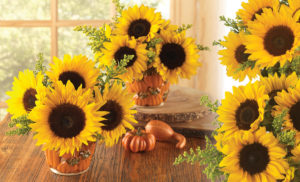 Pumpkin Sunflowers