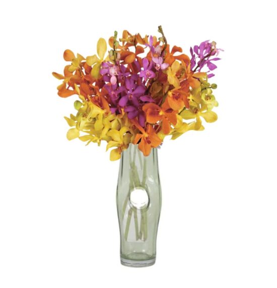 Songbird Orchids
