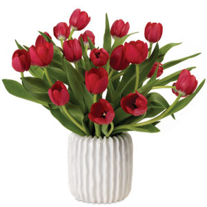 Red Dutch Tulips - Calyx Flowers, Inc. Red Dutch Tulips