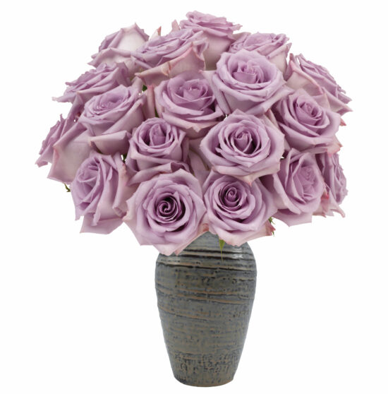 Parisian Roses