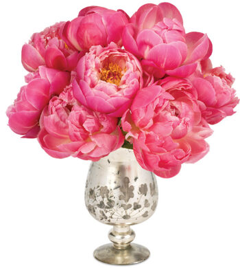 Peony