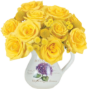 Yellow Perfection Roses