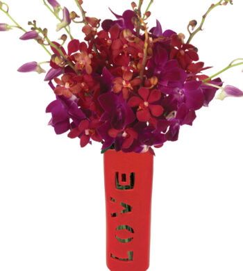 Be My Valentine Orchids