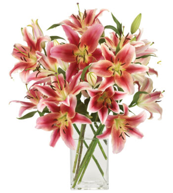 Loving You Lilies - Fragrant Oriental Lily Stems