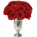 Enigma Roses