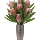 Pink Protea Bouquet
