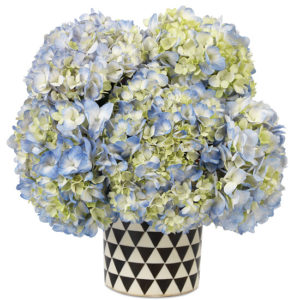 SoHo Hydrangeas - Calyx Flowers, Inc. SoHo Hydrangea with vase