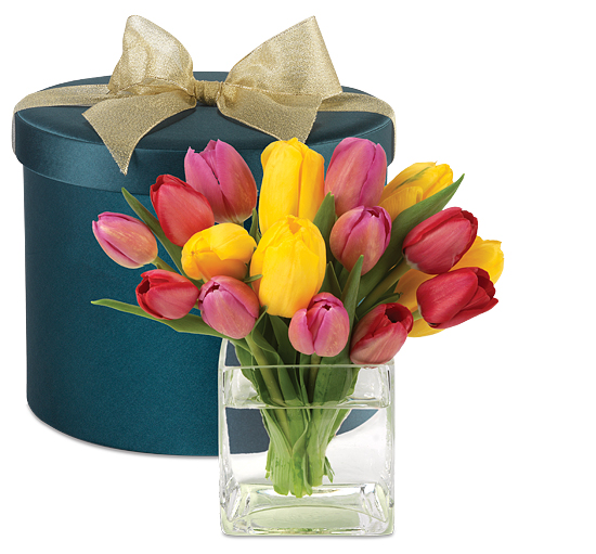Tulips: Facts, History and Meanings of Tulip Flowers