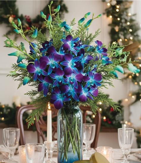 Holiday Sapphire Orchids - Calyx Flowers, Inc