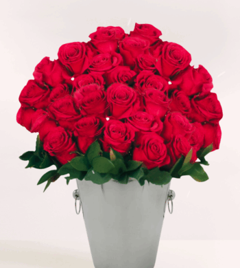 50 Red Fresh Cut Roses Bouquet