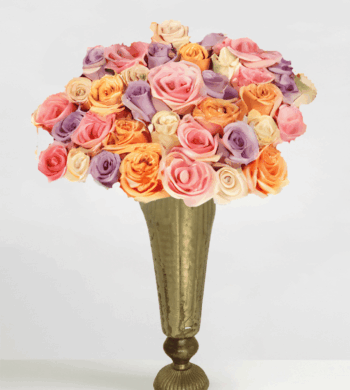 50 Pastel & Vibrant Roses