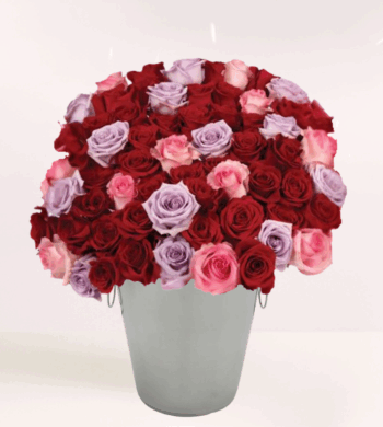 50 Valentine's Roses, Life Time Memory