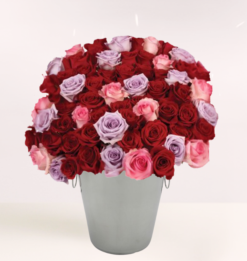 50 Valentine's Roses