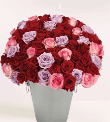 50 Valentine's Roses, Life Time Memory