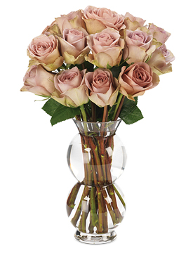 A new rose variety with subtle tones of lavender, gray & green.