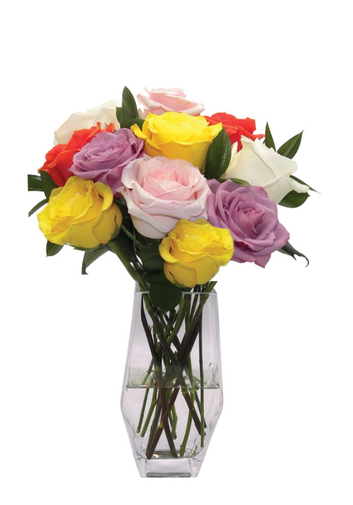 Aug - A Mix of Roses